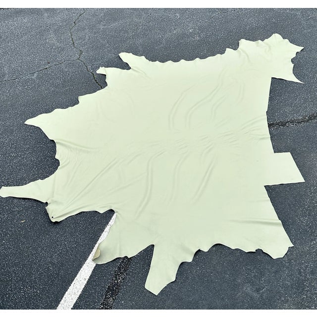 Celadon Aniline Dyed Leather Hide For Sale In Atlanta - Image 6 of 6