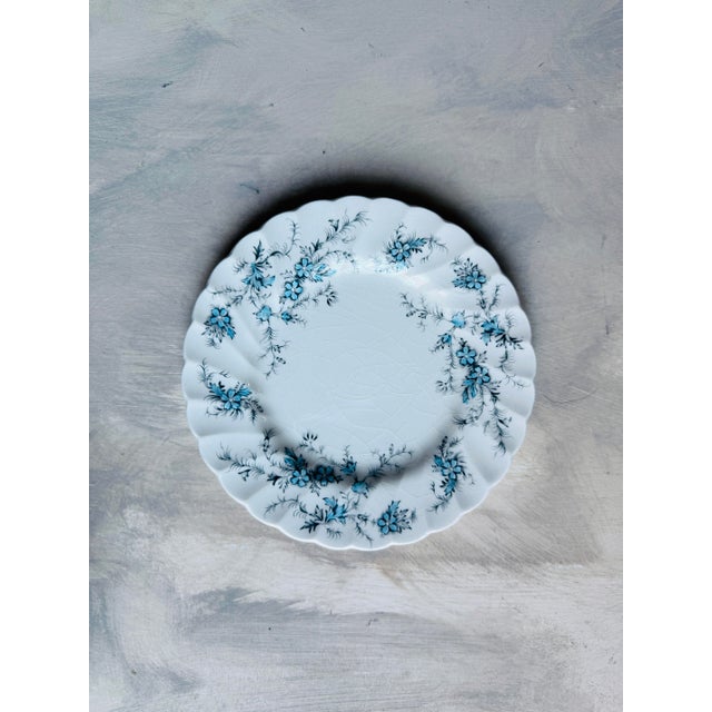 Myott Son & Co. 1950s Staffordshire England Myott Forget-Me-Not 6 1/8” Plates - Set of 13 For Sale - Image 4 of 12