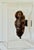 A Baule people carved wood portrait mask. Ivory Coast from the mid 20th century. Encased in a lucite museum quality...