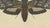 19th Century Bertuch, Two Large Exotic Moths, 1815, Print For Sale - Image 5 of 12