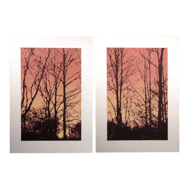 1980s Scott Nellis "Branching I &Ii B" Red Signed Numbered Fine Art Diptych Serigraphs - a Pair For Sale