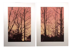 1980s Scott Nellis "Branching I &Ii B" Red Signed Numbered Fine Art Diptych Serigraphs - a Pair