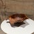 George Nakashima Studio Craft Handcrafted Walnut Wooden Bowl Js Greenwald Mid-Century For Sale - Image 4 of 9