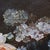 Continental Oil on Board Floral Still Life Painting by J. Waldsey, C1880 For Sale - Image 6 of 12