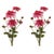 Rustic Dahlia Flower Bundle (Set of 2) For Sale - Image 3 of 3