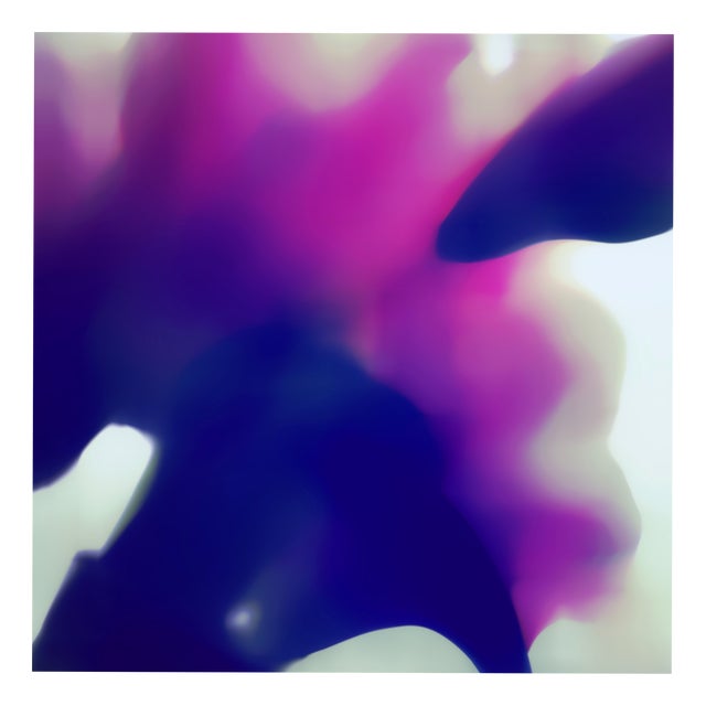 Kirill Chudinskiy, Purple Air Plant, Metal Print For Sale