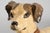 1920s Antique Dog Figurine from Masters Voice Nipper, 1920s For Sale - Image 5 of 12