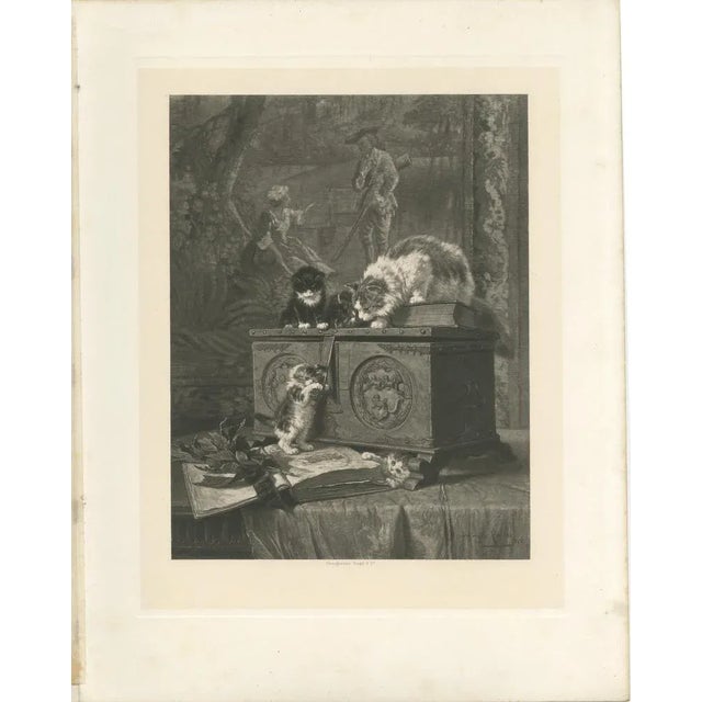 Title: "The Young Adventurers" - Cats and Kittens by Henriette Ronner (1894) : "The Young Adventurers" (or 'Antiquaries'...