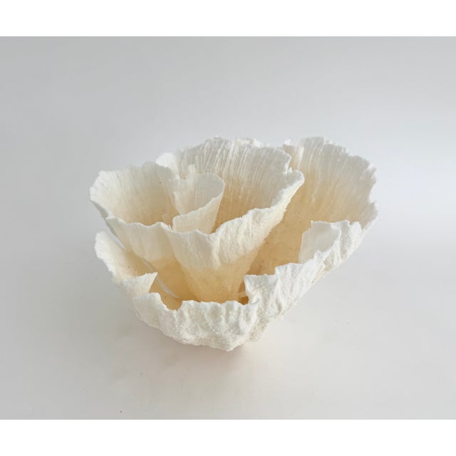 Natural White Poca Coral Specimen For Sale - Image 4 of 8