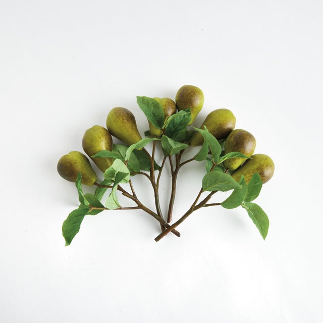 One of the more vibrant and simply beautiful fruits, the pear has been a favorite among painters and sculptors alike. A...