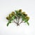 One of the more vibrant and simply beautiful fruits, the pear has been a favorite among painters and sculptors alike. A...