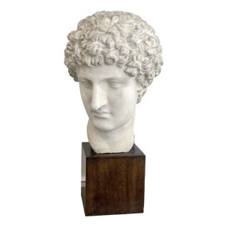 Hermes Head, 1970s, Plaster For Sale