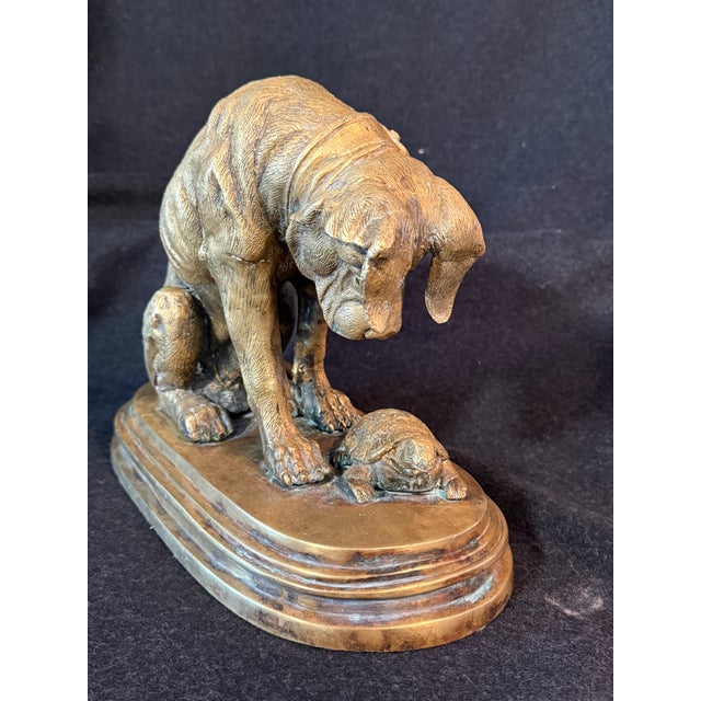 French 1900s Bronze of Chien À La Tortue, Dog With Tortoise, Depicting a Hound Observing a Turtle, Originally Designed by French Sculptor Alfred Jacquemart For Sale - Image 3 of 10