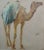 African Hugo Vilfred Pedersen-Portrait of a Camel-Orientalist Oil Painting C.1900s For Sale - Image 3 of 10