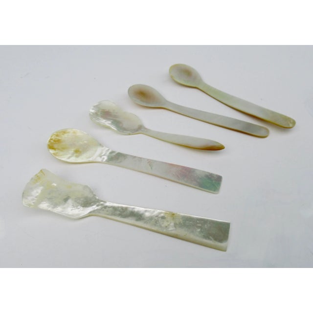 Vintage Mother of Pearl Varied Caviar Serving Spoons -Set of 5 For Sale In West Palm - Image 6 of 6