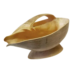Natural Conch Shell Planter/Basket