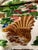 Lyon Rare Run of Silk Taffeta Lampas Silk and Gold Embroider For Sale - Image 10 of 12