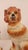 Orange Early 20th Century Pair of Ceramic Staffordshire Spaniel Dogs For Sale - Image 8 of 10