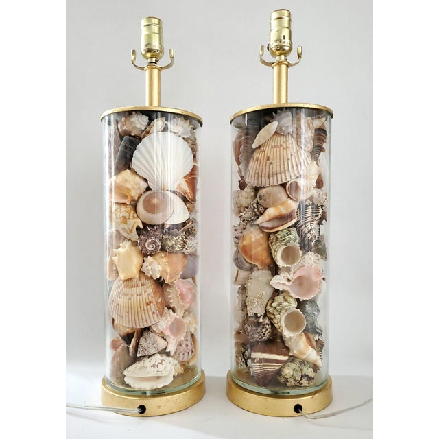 Offering a rare pair of EXTRA-LARGE clear glass cylinder table lamps filled with a beautiful array of unique seashells,...