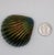 Glass Vintage Signed Robert Held Iridescent Favrile Art Glass Seashell Paperweight For Sale - Image 7 of 7