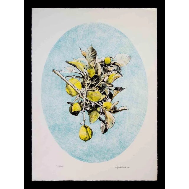 Lithograph on Magnani-Pescia paper. Paper size 50cm x 70cm, work size 43cm x 57cm. Excellent condition, no defects. Hand...