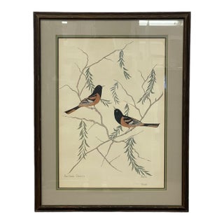 Vintage Signed Baltimore Orioles Bird Painting - Framed Wildlife Artwork. For Sale