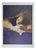 Alessandro Kokocinski, Night Dreams, 1990s, Lithograph For Sale