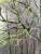 Vintage Original Forest Landscape Oil Painting, Circa 1960s For Sale - Image 4 of 13