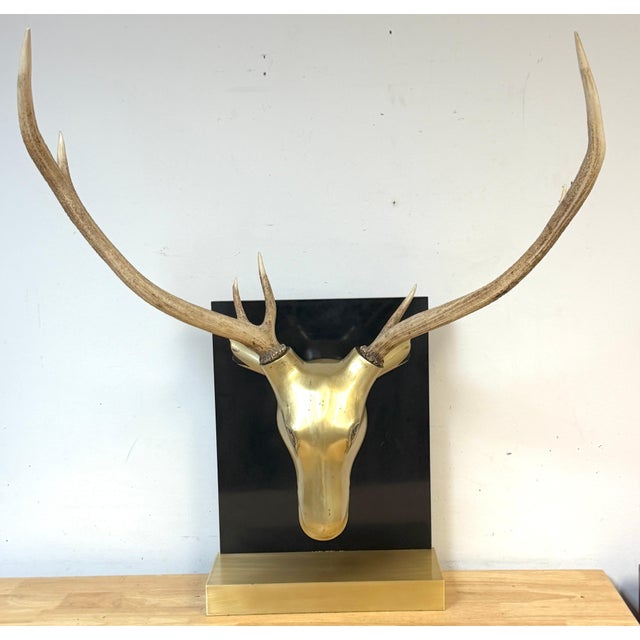 Monumental Sarreid Brass Deer Mount with Removable Antlers, Spain, 1970s For Sale - Image 13 of 17