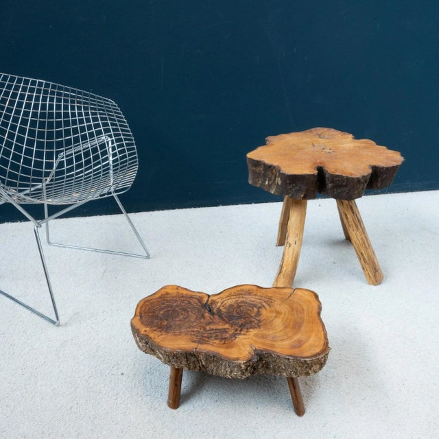 Brutalist Elm Coffee Table Set, 1960, Set of 2 For Sale - Image 6 of 6