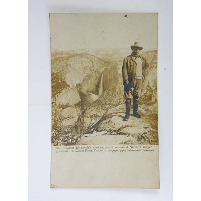 Antique 1904 Photograph Teddy Roosevelt Yosemite Postcard For Sale - Image 4 of 5