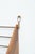 1950s Wall-Mounted Bookcase in Walnut by Carl Auböck, 1950s For Sale - Image 5 of 15