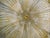 20th Century Amber Graniglia Murano Flush Mount For Sale - Image 6 of 8