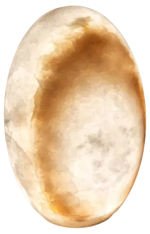 White Onyx Rebirth Light Sculpture by Giulia Archimede