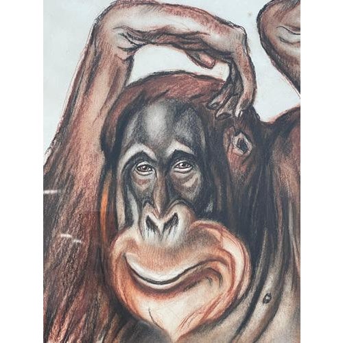 André Margat, Orang-Outan, 1929, Pastel Drawing, Framed For Sale - Image 4 of 11