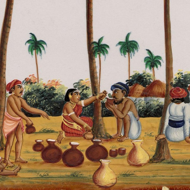 Indian Company School, Toddy Drawing, 1800s, Gouache on Paper For Sale - Image 4 of 9