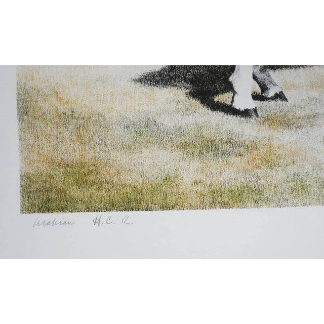 Rustic European 1974 Mel Hunter Arabian Horse Lithograph For Sale - Image 3 of 5