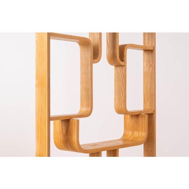 Wood Wall Unit by Ludvig Volak for Drevopodnik Holesov, Former Czechoslovakia, 1960s For Sale - Image 7 of 10