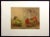Limited edition etching on Arches paper of a still life of pomegranates and pears by late Indian artist Kaiko Moti . Hand...