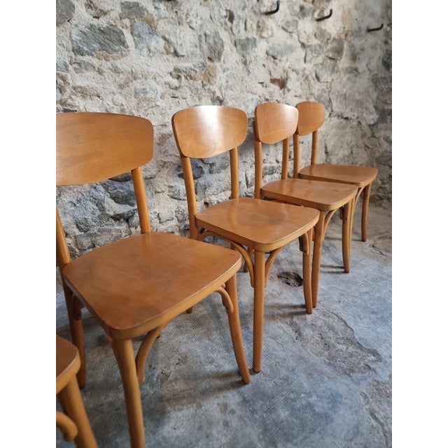Brown Vintage French Bentwood Bistro Chairs from Luterma, 1950s-1970s, Set of 6 For Sale - Image 8 of 18