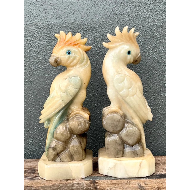 Mid 20th Century Vintage Onyx and Alabaster Cockatoos - A Pair For Sale - Image 5 of 12