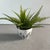 1950s Vintage Flower Pot by Paul Milet, 1950s For Sale - Image 5 of 6