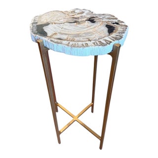 Extremely Rare Petrified Wood Slab Made Into a Table For Sale