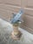 French Country Vintage English Country Iron Garden Sundial on Classical Corinthian Pedestal For Sale - Image 3 of 11