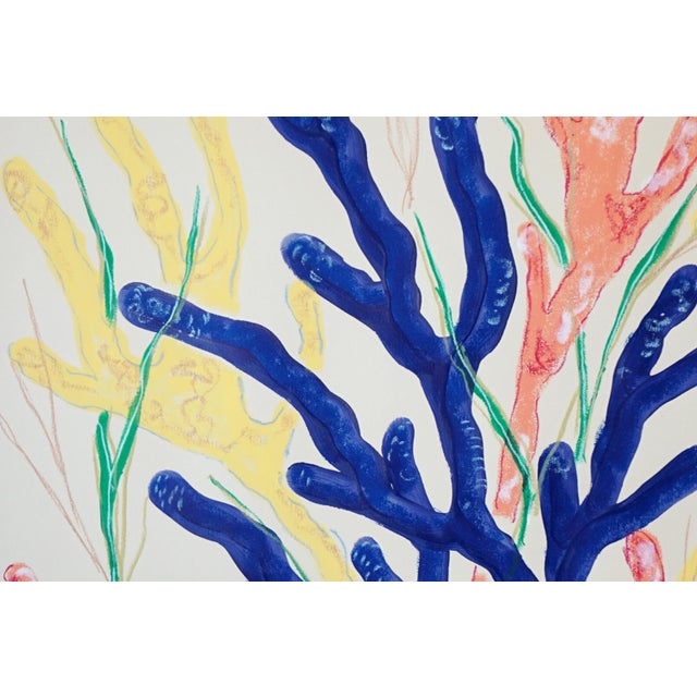 2020s 2026, Naturalistic Illustration Style Drawing of Marine Biology, Acrylic Paint and Gouache Crayon on Paper by Romina Milano For Sale - Image 5 of 8