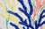 2020s 2026, Naturalistic Illustration Style Drawing of Marine Biology, Acrylic Paint and Gouache Crayon on Paper by Romina Milano For Sale - Image 5 of 8