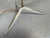 Vintage Tripod Table Lamp, Italy, 1950s For Sale - Image 14 of 16