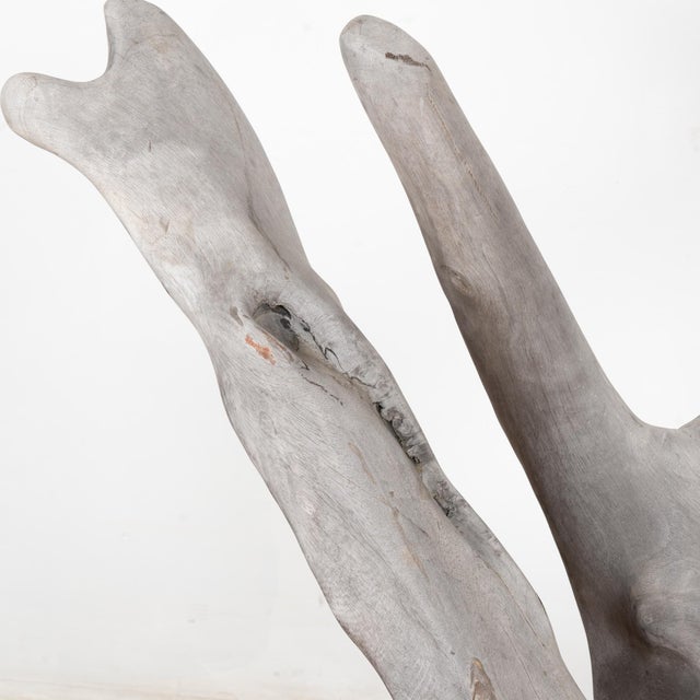 Contemporary Mid Century Organic Teak Root Large Bench For Sale - Image 3 of 14