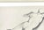 Alabaster Vintage Boho 1930s Pencil Sketch of Man For Sale - Image 8 of 12