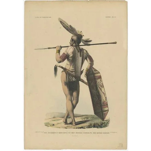 Temminck, Native of Borneo, 1840, Paper For Sale - Image 3 of 5